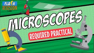 GCSE Biology Revision Guide  Microscopy amp Required Practical [upl. by Aulea]