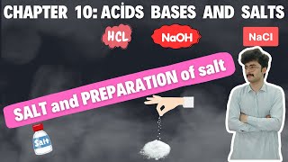 Salt and Preparation of salt  preparation of soluble and insoluble salts  class 10  mmk chemistry [upl. by Vano]