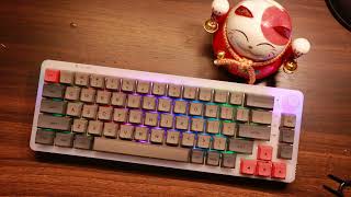 Clean the keyboard and change the switchGamakay Lk67 [upl. by Dove506]