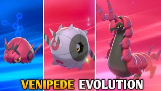 How To Evolve Venipede Into Whirlipede And Scolipede In Pokemon Sword amp Shield  Galar Pokedex [upl. by Esserac242]