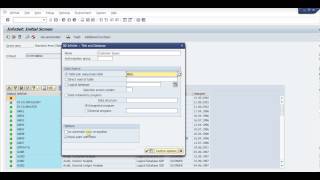 SAP Query Basic [upl. by Eadahs]