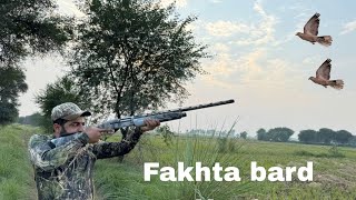 Fakhta hunt and full enjoy this video wait for end subscribe like ❤️ comments [upl. by Manup]