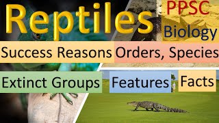 Reptiles  Reasons of Success  Orders  Evolution  Key Features  Fun Facts [upl. by Charil858]