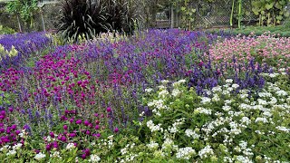 Biltmore Estate’s September Gardens [upl. by Billy]