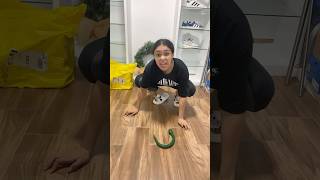 MIRA UNA CUCARACHA🐍🪳🤣shorts humor ​⁠ROYTHITHI [upl. by Jessa]