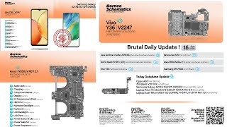 DAILY UPDATE BORNEO SCHEMATICS 16 August 2024  Vivo Y36 [upl. by Dean]