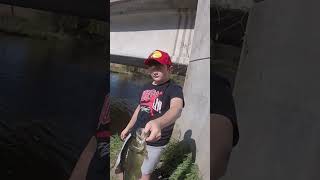 Fall Fishing in October on the Crawfish River largemouthbassin largemouthbass october [upl. by Elleynod880]