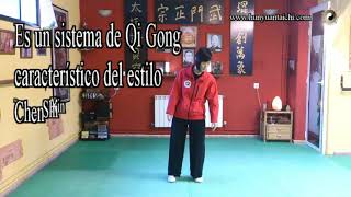 Chi Kung de la Relajación Consciente Fan Song Gong [upl. by Nehtiek]