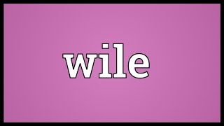 Wile Meaning [upl. by Opaline]