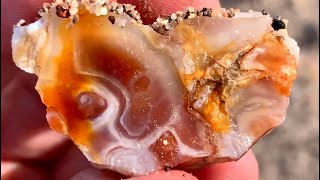 Rockhounding Agates Jaspers and Insects [upl. by Vitale]