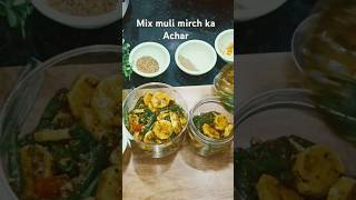 मूली मिर्च का आचार  Achar recipe 😋 cooking  shorts  food  madhuram swad [upl. by Essirahs129]