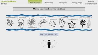 Enzyme inhibition assay [upl. by Hekker]