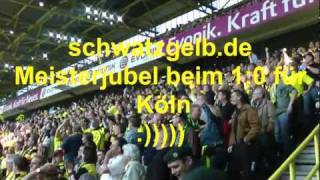 Borussia Dortmund  1 FC Nürnberg  BVB Meisterjubel 2011 10 Köln Meistertor schwatzgelbdevideo [upl. by Nyrhtak646]