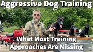 Aggressive Dutch Shepherd  Malinois Training  What Most Approaches Are Missing [upl. by Faline]