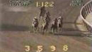 Alydar vs Affirmed  1977 Champagne Stakes 5th Meeting [upl. by Phip502]