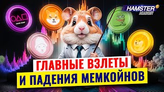 Как эти мемкойны сделали миллионеров… и разбили сердца ⚡️ Hamster Academy [upl. by Iow910]