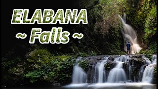 Elabana Falls  Lamington National Park in QLD Australia  4K Cinematic Short Video [upl. by Adamis586]