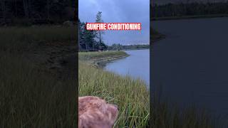 DUCK DOG GUN CONDITIONING  DUCK HUNTING  shorts duckhunting duckdog gundog hunting nsdtr [upl. by Elisabeth208]