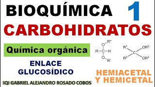 Carbohidratos glúcidos Enlace glucosídico parte 1 Hemiacetales y hemicetales [upl. by Rennat]