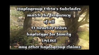 13 Israelite Tribes Coded within DNA Revealed [upl. by Nygem966]