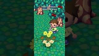 The Animal Crossing Grass Controversy Explained [upl. by Enelyahs]