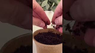 Unboxing A Grow Kit [upl. by Kalmick805]