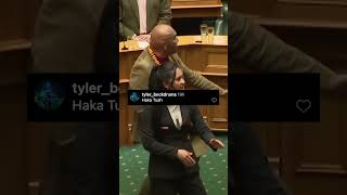 The internet reacts to the viral haka 🔥 haka newzealand indigenous parliament land court [upl. by Ttik829]