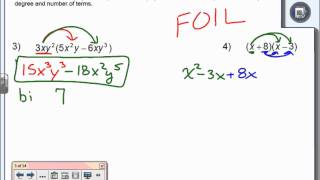 Investigating Polynomials [upl. by Nirrol]