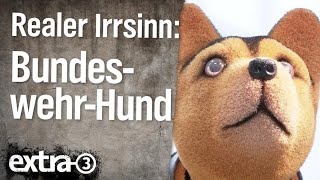 Realer Irrsinn Tierarztrechnung für BundeswehrHund  extra 3  NDR [upl. by Merrilee]