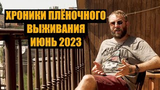 Хроники плёночного выживания Июнь 2023 [upl. by Behn]