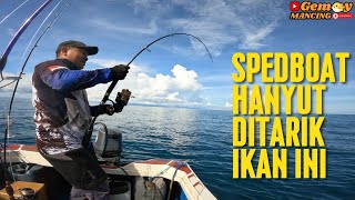 Niatnya Cuma Tes Angin dan Arus Malah Strike Ikan Babon  FULL STRIKE MANCING DI PULAU BUNYU [upl. by Nemsaj]