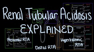 Renal Tubule Acidosis RTA Explained [upl. by Islaen69]