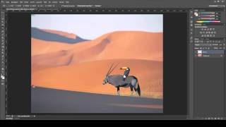 Photoshop Basics  Pipette und HilfsWerkzeuge [upl. by Gilli]