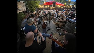 Fairfax Irish Festival of Music and Dance CA 2024 Video Compilation [upl. by Abram]