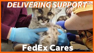 Delivering support where we live and work  FedEx Cares [upl. by Gwenn]