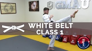 Taekwondo Follow Along Class  White Belt  Class 1 [upl. by Karoline952]