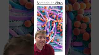 Bacteria or virus [upl. by Shanleigh369]