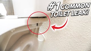 How To Fix The 1 Hidden Toilet LEAK DIY [upl. by Ialocin]