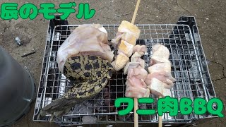 23 干支を食す2024 ワニ肉BBQ [upl. by Ahsets431]