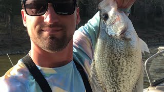 CRAPPIE SPAWN FISHING REPORT 5122 Taylorsville lakeLimits caught [upl. by Turmel]