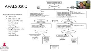 074 Novel venetoclax combinations for relapsed pediatric leukemial [upl. by Naedan]