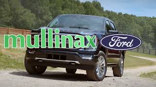 Go for Simple Easy Fun Mullinax Ford of Vero Beach Car Buying Experience [upl. by Niloc509]