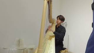 F Godefroid Etude de Concert for Harp in e flat minor Op 193 [upl. by Merril296]