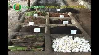 Vermiculture amp Vermicomposting Part 1 [upl. by Ayihsa317]