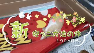 モルモットの抱っこの仕方で困っている方逃げて抱っこが出来ない方にご覧ください飼い主直伝ですyoutube happy かわいい [upl. by Neesay]