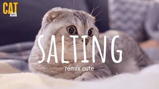 Salting remix cute  DJ Topeng  Lyrics  Vietsub [upl. by Adelice765]