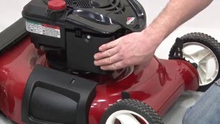 Briggs amp Stratton  How To Tune Up Your Push Lawn Mower Engine [upl. by Anawqahs18]