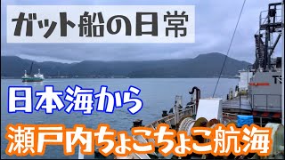 【2024】【船乗り】豪華客船を見ながら日本海から瀬戸内海ガット船クルーズ！船と言えばカレーライス！ [upl. by Leler]