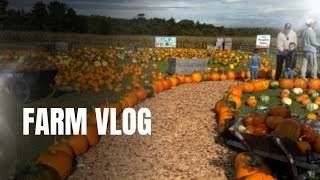 Nova Scotia Homesteadhobby farm Vlog [upl. by Yerocaj]