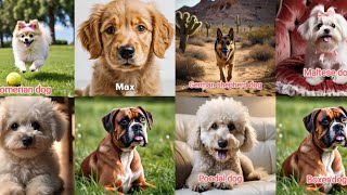 The Complete Guide to Dog Breeds dogslover ❤️ [upl. by Rausch]